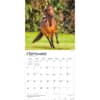 image Horse Lovers 2027 Wall Calendar Third Alternate Image