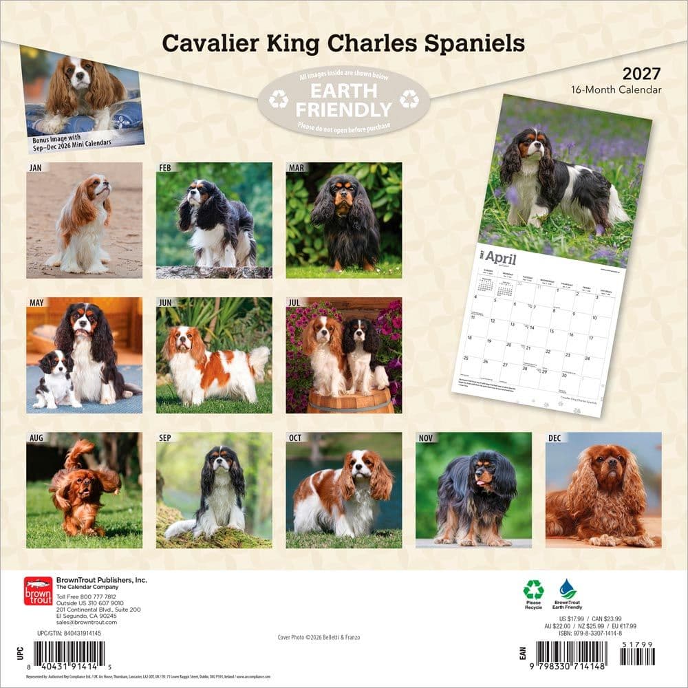 Cavalier King Charles 2027 Wall Calendar First Alternate Image