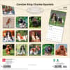 image Cavalier King Charles 2027 Wall Calendar First Alternate Image