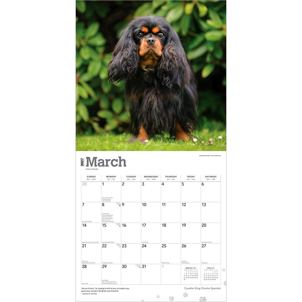 Cavalier King Charles 2027 Wall Calendar Second Alternate Image
