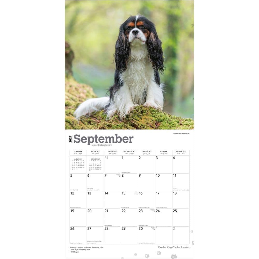 Cavalier King Charles 2027 Wall Calendar Third Alternate Image