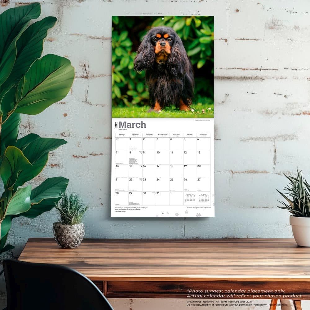Cavalier King Charles 2027 Wall Calendar Fourth Alternate Image