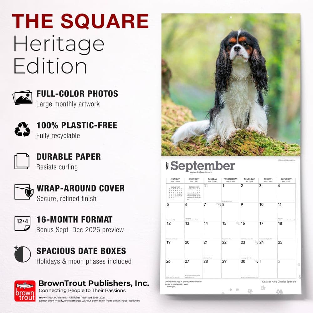 Cavalier King Charles 2027 Wall Calendar Fifth Alternate Image