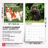 image Cavalier King Charles 2027 Wall Calendar Sixth Alternate Image