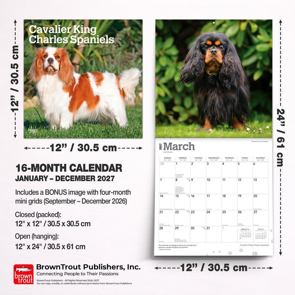 Cavalier King Charles 2027 Wall Calendar Sixth Alternate Image