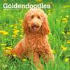 image Goldendoodles 2027 Wall Calendar Main Product Image
