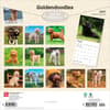 image Goldendoodles 2027 Wall Calendar First Alternate Image