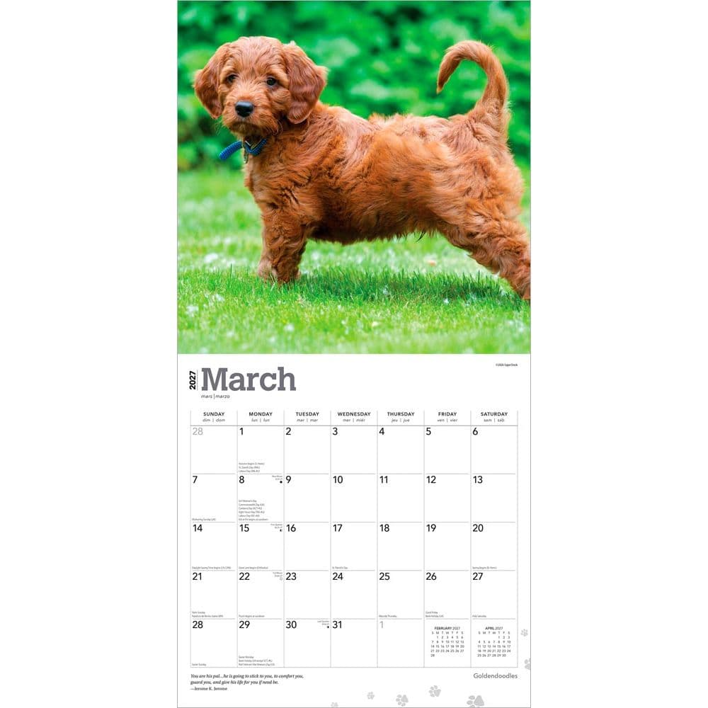 Goldendoodles 2027 Wall Calendar Second Alternate Image