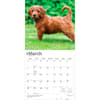image Goldendoodles 2027 Wall Calendar Second Alternate Image