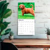 image Goldendoodles 2027 Wall Calendar Fourth Alternate Image