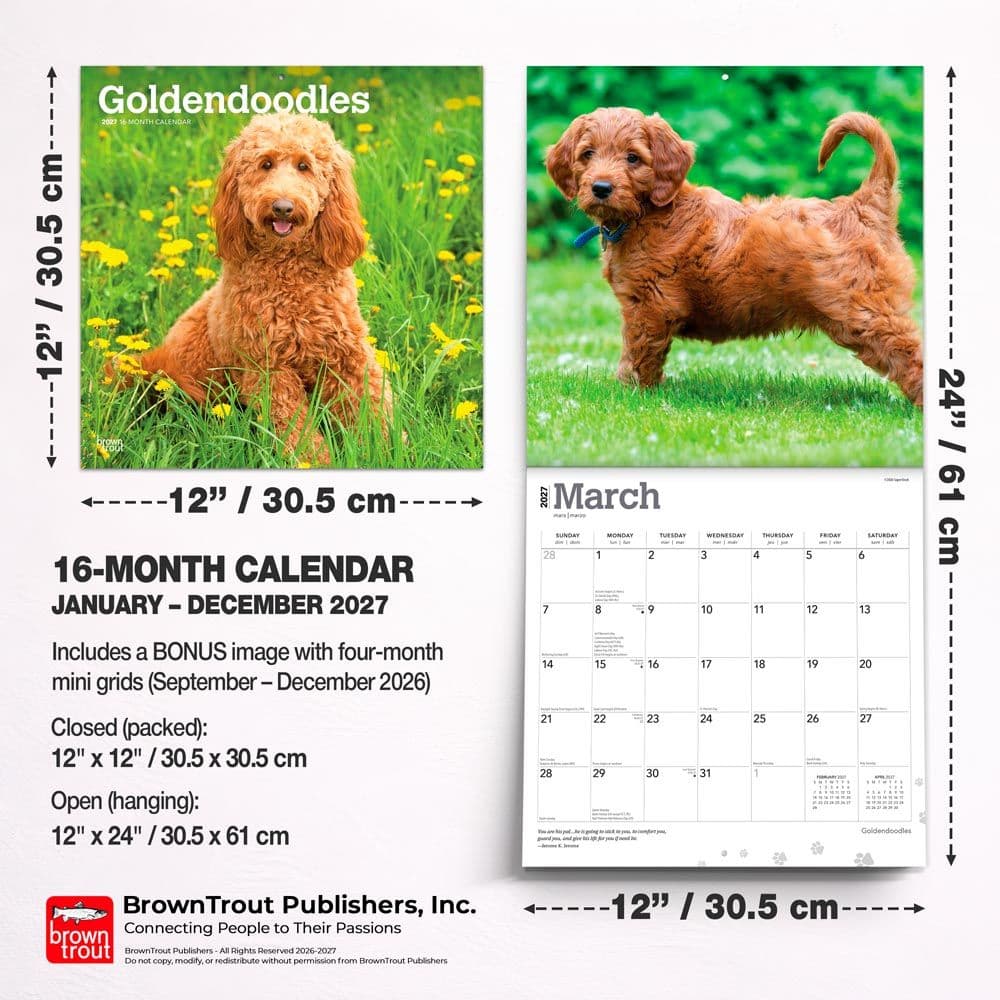 Goldendoodles 2027 Wall Calendar Sixth Alternate Image