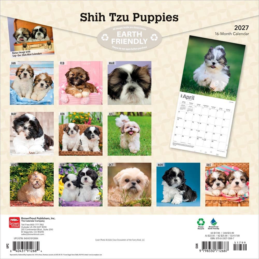 Shih Tzu Puppies 2027 Wall Calendar First Alternate Image