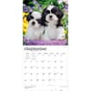 image Shih Tzu Puppies 2027 Wall Calendar Third Alternate Image