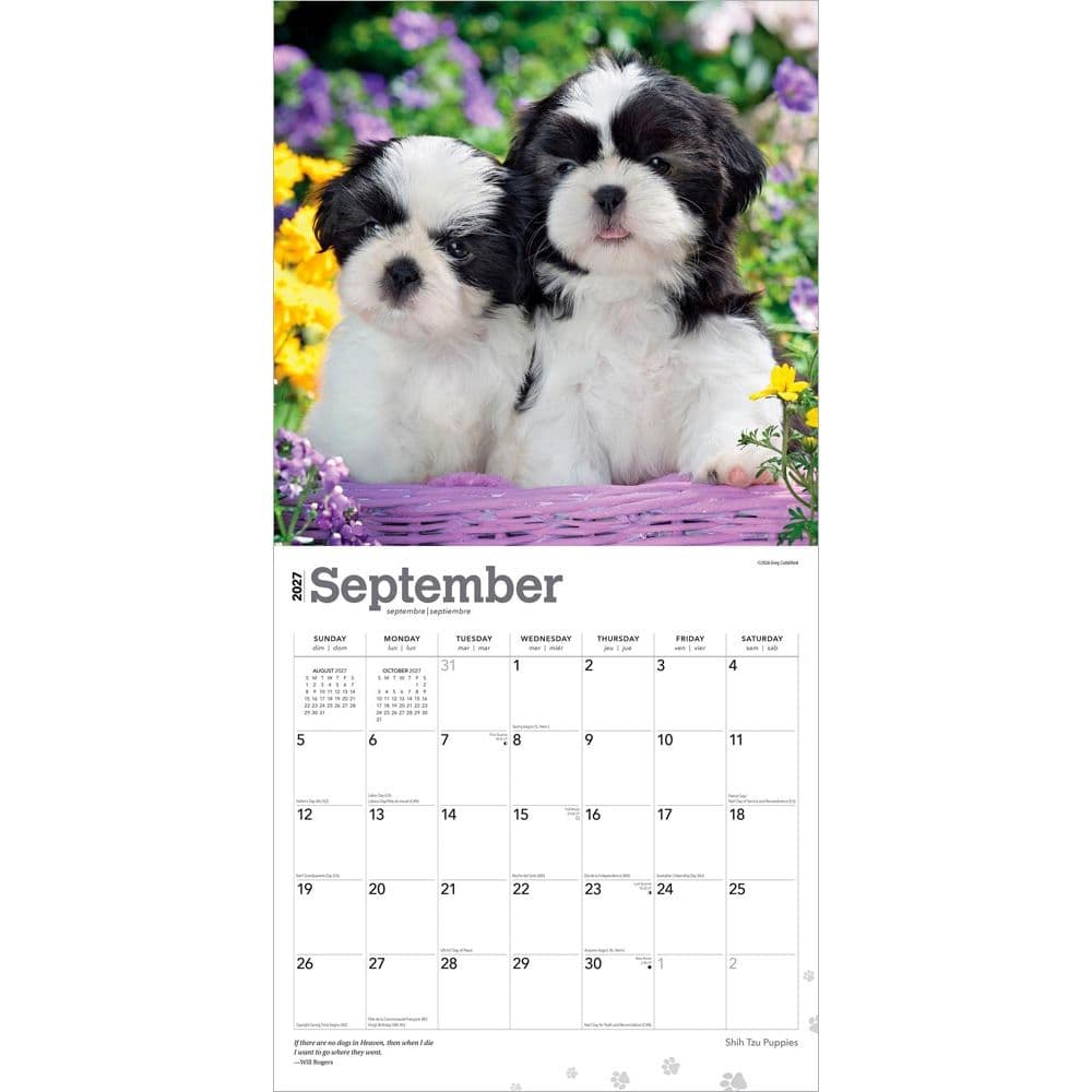 Shih Tzu Puppies 2027 Wall Calendar Third Alternate Image