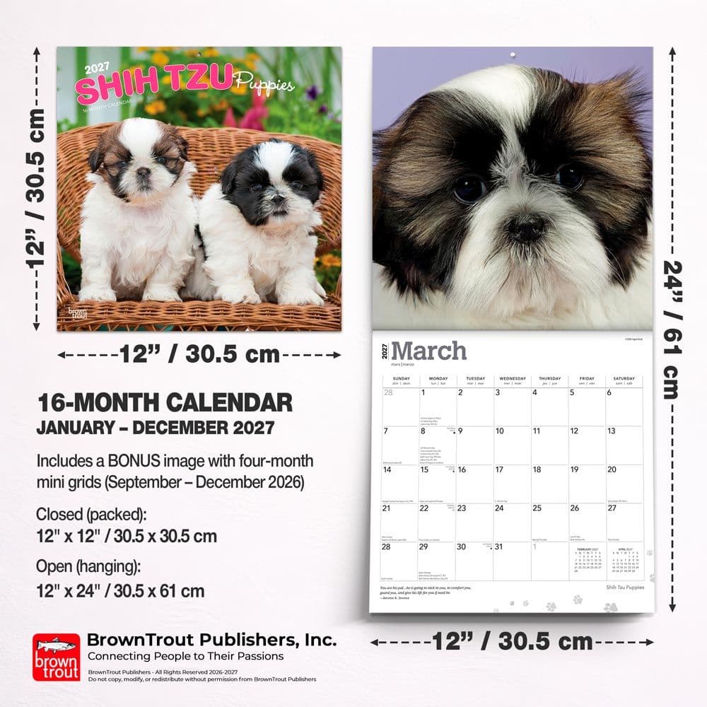 Shih Tzu Puppies 2027 Wall Calendar Sixth Alternate Image