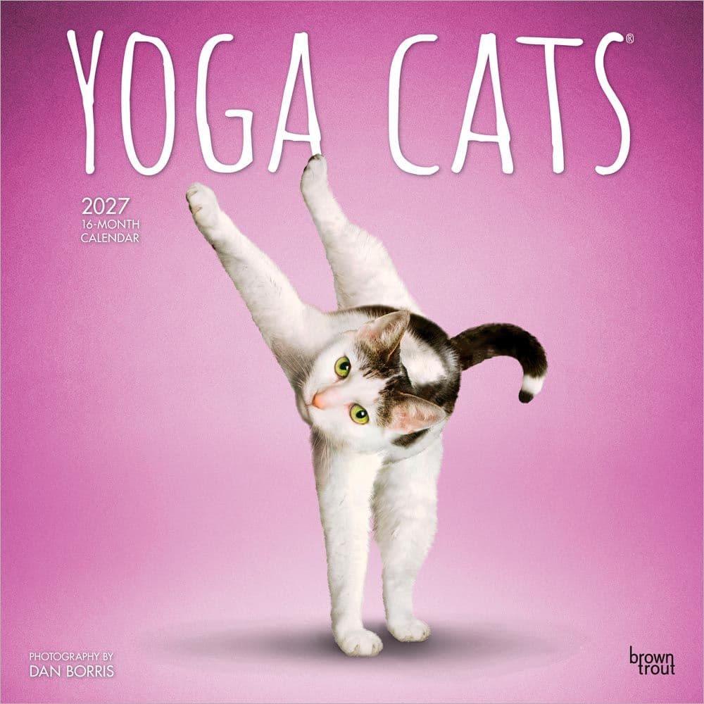 Yoga Cats 2027 Wall Calendar Main Product Image