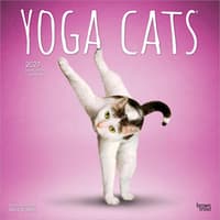 image Yoga Cats 2027 Wall Calendar Main Product Image