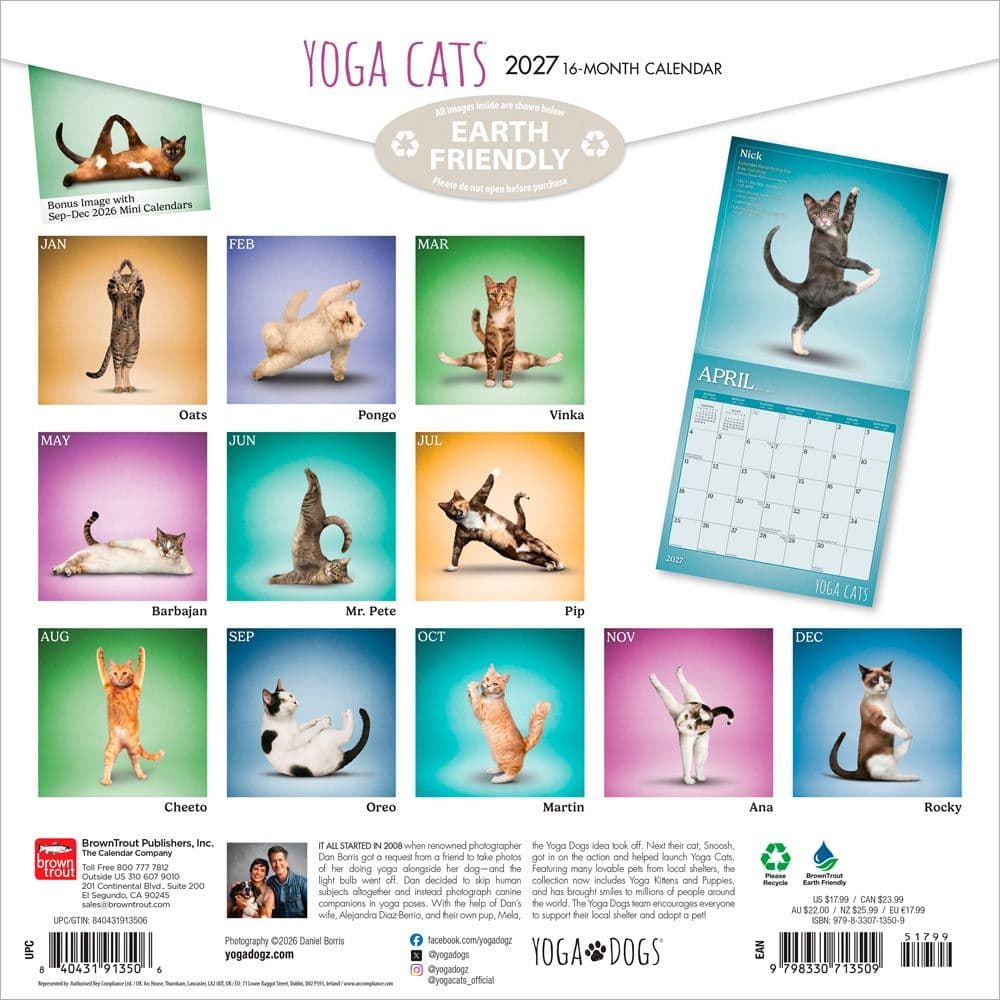 Yoga Cats 2027 Wall Calendar First Alternate Image