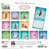 image Yoga Cats 2027 Wall Calendar First Alternate Image