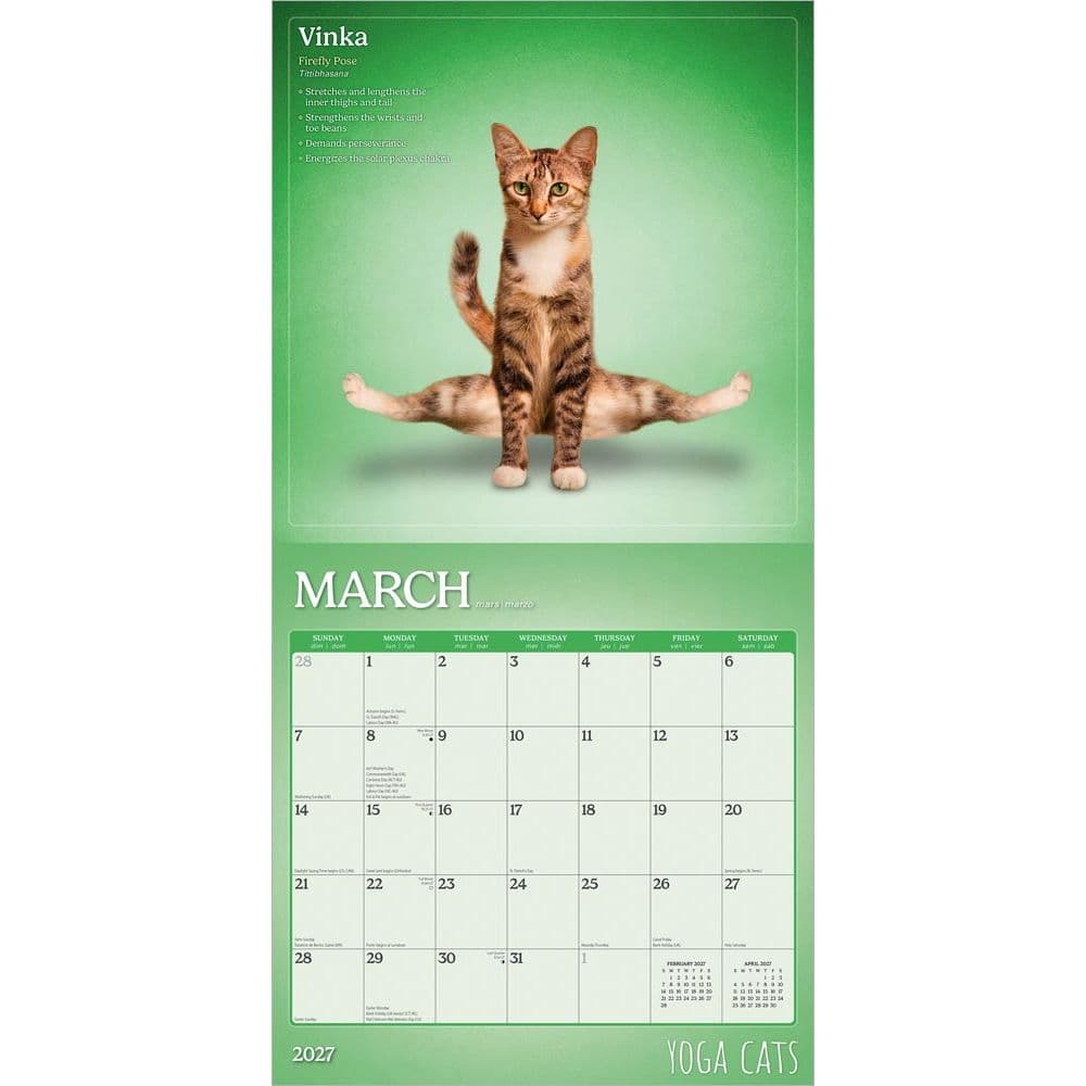 Yoga Cats 2027 Wall Calendar Second Alternate Image