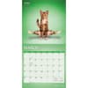 image Yoga Cats 2027 Wall Calendar Second Alternate Image