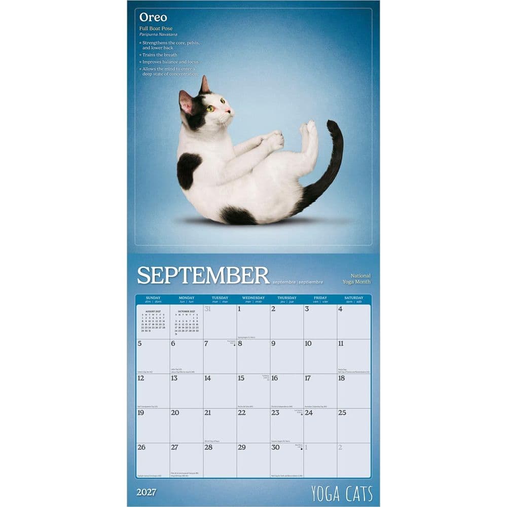 Yoga Cats 2027 Wall Calendar Third Alternate Image