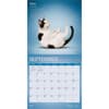 image Yoga Cats 2027 Wall Calendar Third Alternate Image