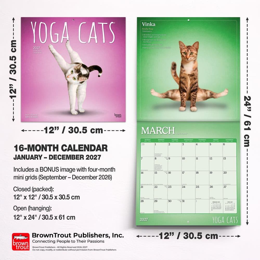 Yoga Cats 2027 Wall Calendar Sixth Alternate Image