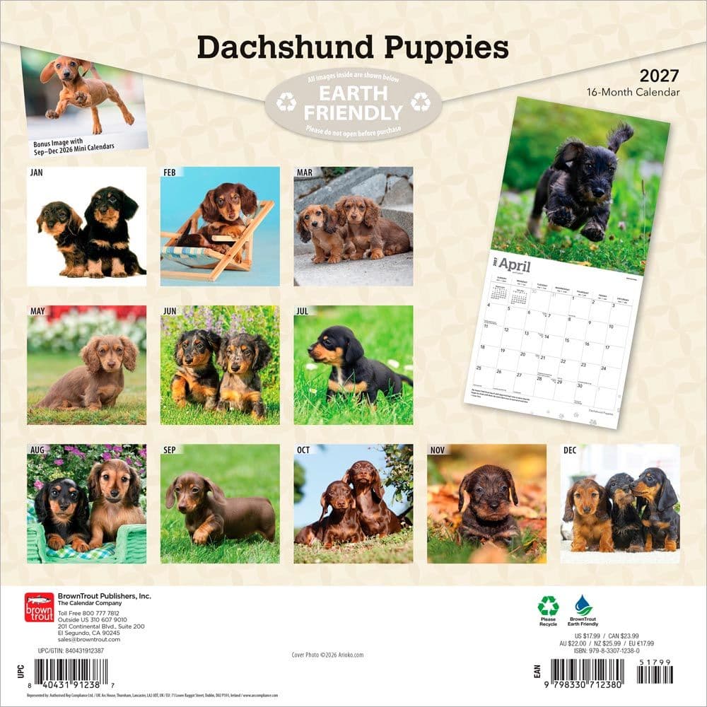 Dachshund Puppies 2027 Wall Calendar First Alternate Image