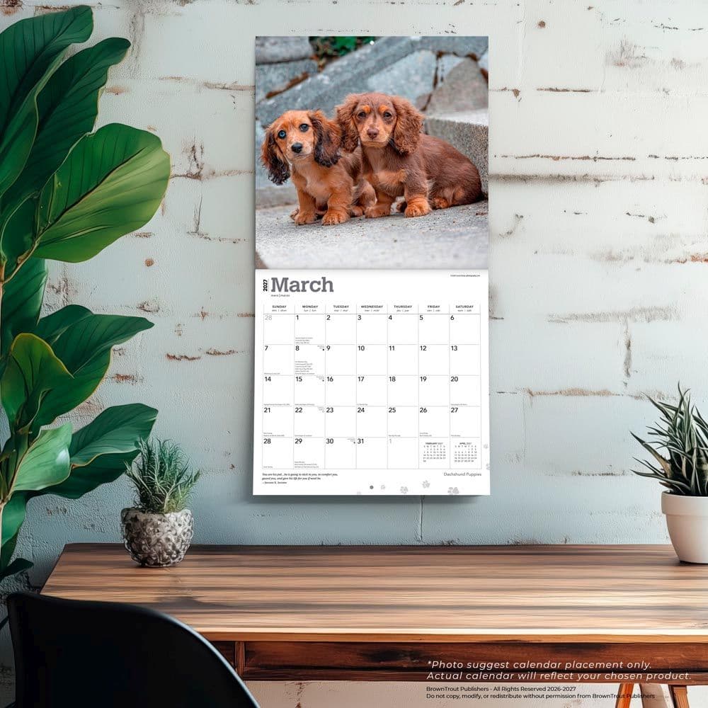 Dachshund Puppies 2027 Wall Calendar Fourth Alternate Image