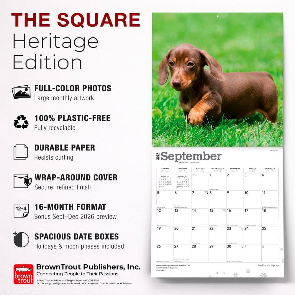 Dachshund Puppies 2027 Wall Calendar Fifth Alternate Image