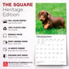 image Dachshund Puppies 2027 Wall Calendar Fifth Alternate Image