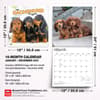 image Dachshund Puppies 2027 Wall Calendar Sixth Alternate Image