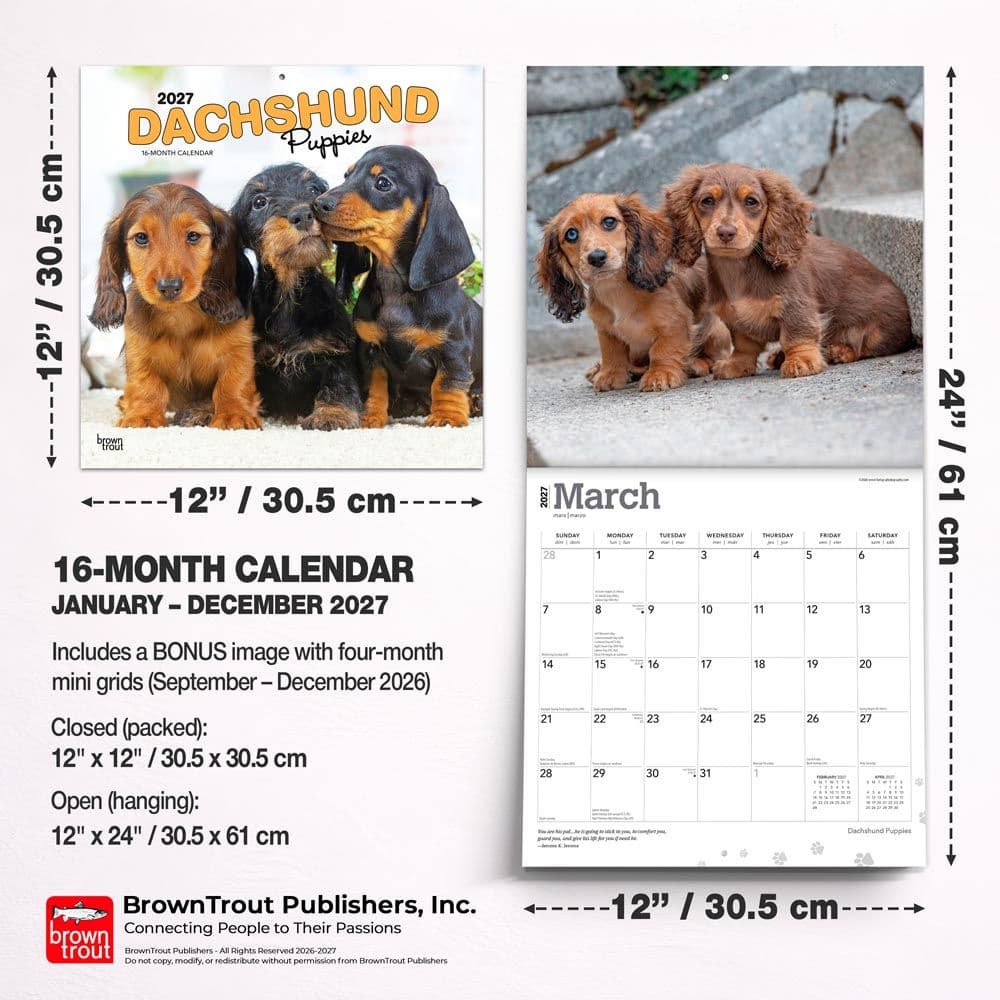 Dachshund Puppies 2027 Wall Calendar Sixth Alternate Image