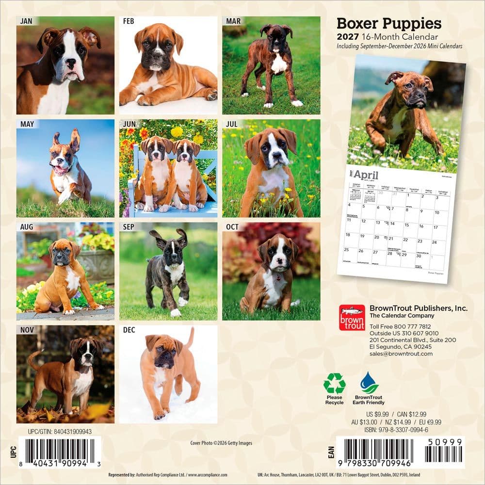 Boxer Puppies 2027 Mini Wall Calendar First Alternate Image