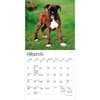 image Boxer Puppies 2027 Mini Wall Calendar Second Alternate Image