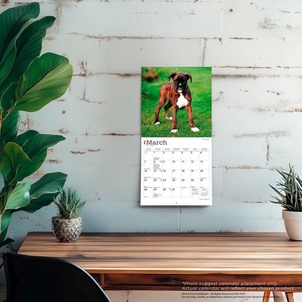 Boxer Puppies 2027 Mini Wall Calendar Fourth Alternate Image