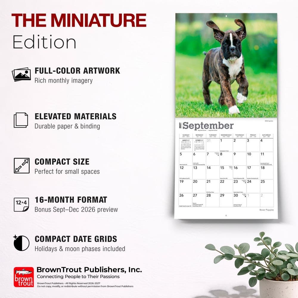 Boxer Puppies 2027 Mini Wall Calendar Fifth Alternate Image