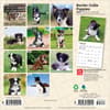 image Border Collie Puppies 2027 Mini Wall Calendar First Alternate Image