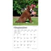 image Border Collie Puppies 2027 Mini Wall Calendar Third Alternate Image