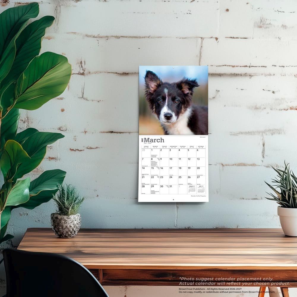 Border Collie Puppies 2027 Mini Wall Calendar Fourth Alternate Image