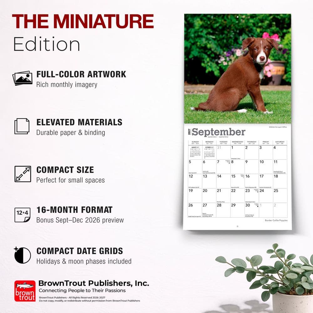 Border Collie Puppies 2027 Mini Wall Calendar Fifth Alternate Image