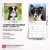 image Border Collie Puppies 2027 Mini Wall Calendar Sixth Alternate Image