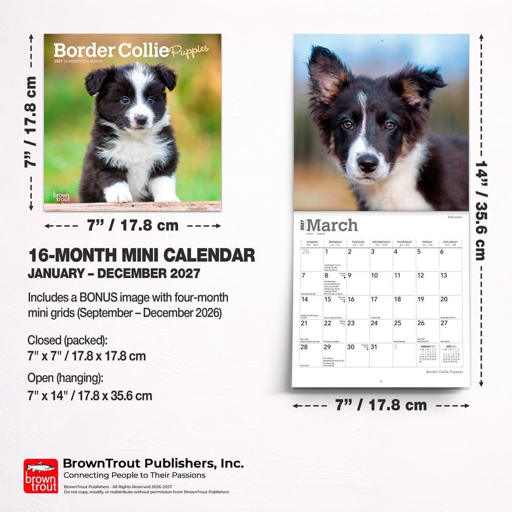 Border Collie Puppies 2027 Mini Wall Calendar Sixth Alternate Image