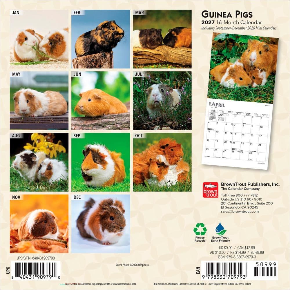 Guinea Pigs 2027 Mini Wall Calendar First Alternate Image