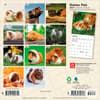 image Guinea Pigs 2027 Mini Wall Calendar First Alternate Image