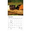 image Guinea Pigs 2027 Mini Wall Calendar Second Alternate Image