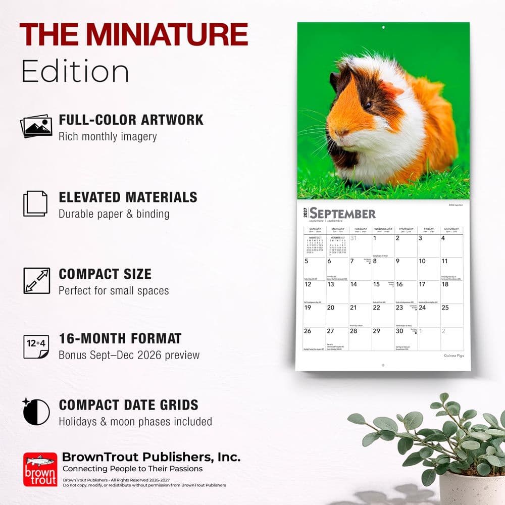Guinea Pigs 2027 Mini Wall Calendar Fifth Alternate Image