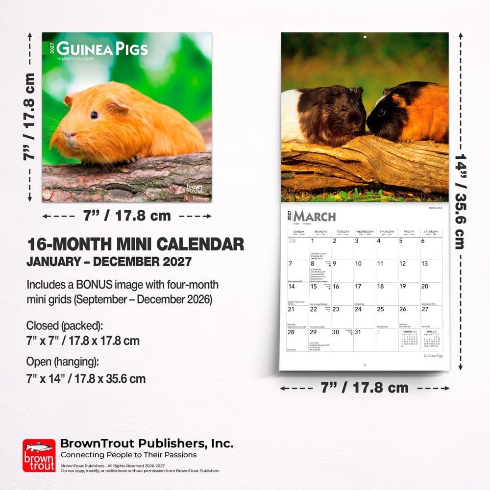Guinea Pigs 2027 Mini Wall Calendar Sixth Alternate Image