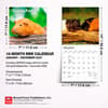 image Guinea Pigs 2027 Mini Wall Calendar Sixth Alternate Image